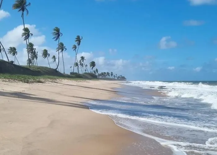 Suíte Beija-flor